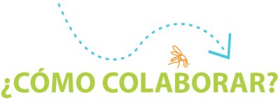 Como colaborar