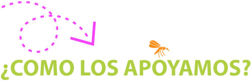 Como lo apoyamos